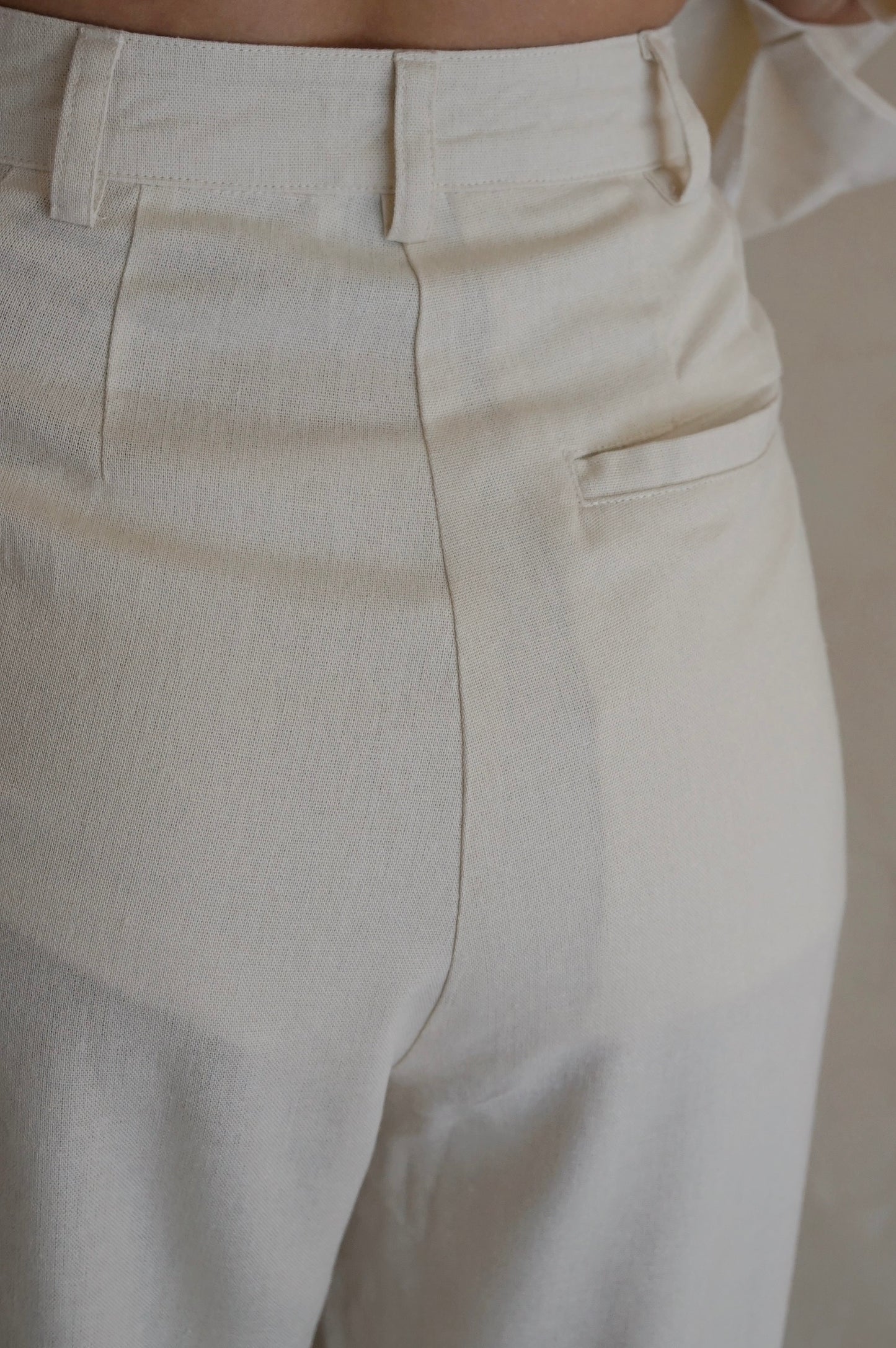 Pleated Trousers