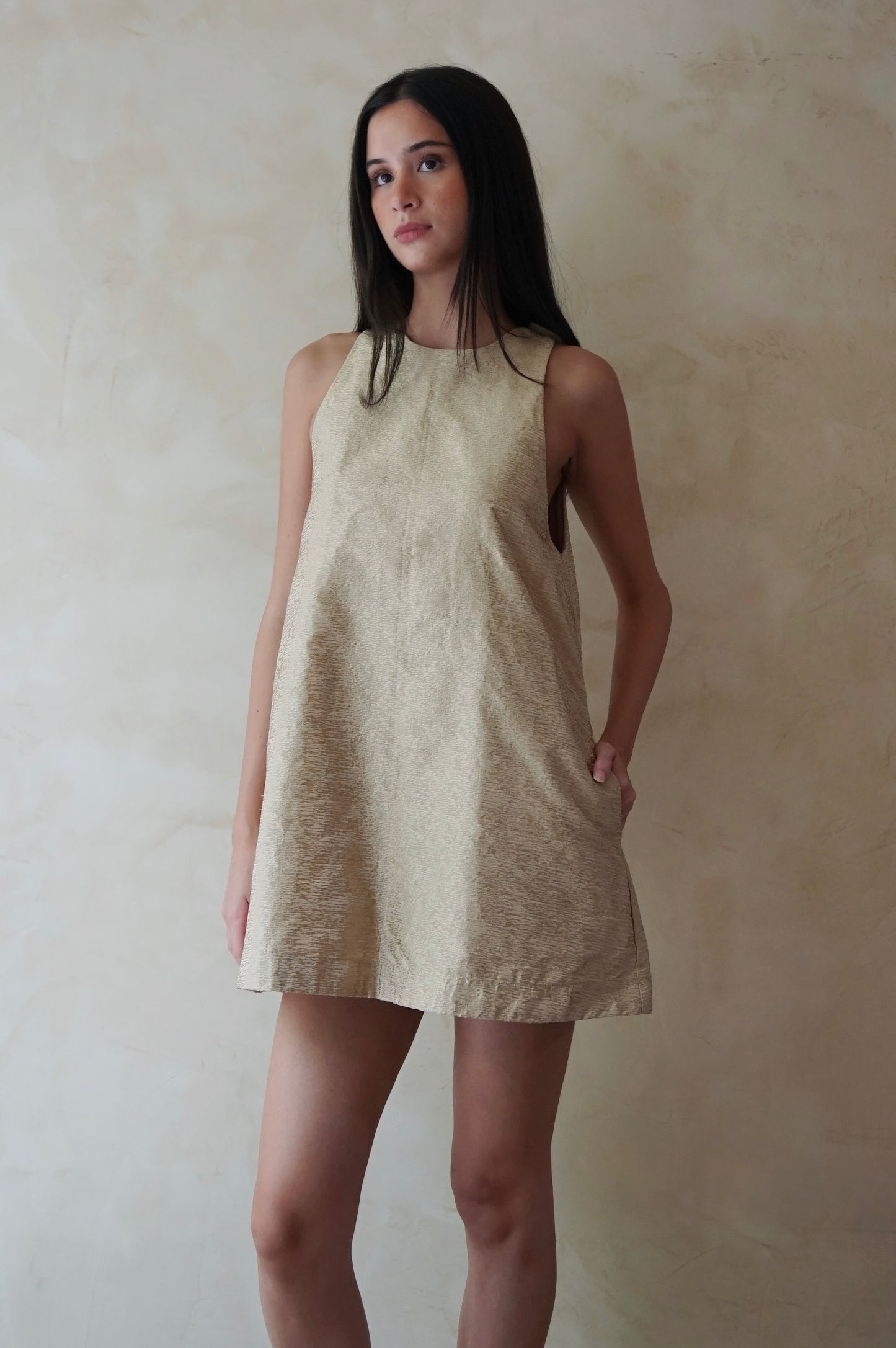 Raw Silk Swing Dress Prosecco